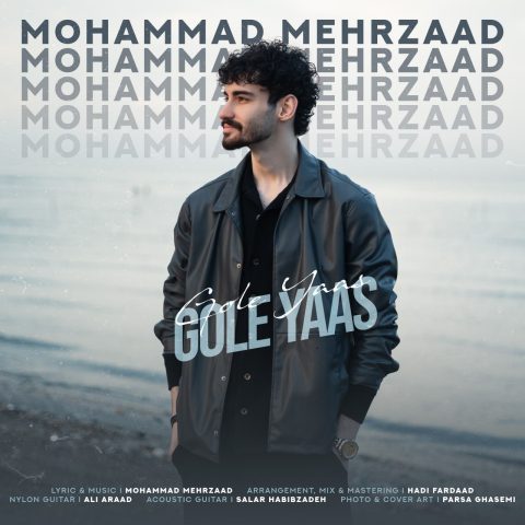 دانلود آهنگ محمد مهرزاد گل یاس